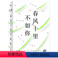 春风十里不如你 [正版]冯唐作品7册自选 活着活着就老了 今宵欢乐多 了不起 有本事 冯唐成事心法 春风十里不如你 无所