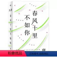 春风十里不如你 [正版]冯唐作品7册自选 活着活着就老了 今宵欢乐多 了不起 有本事 冯唐成事心法 春风十里不如你 无所