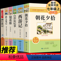 镜花缘七年级上册 [正版]七年级上册朝花夕拾西游记白洋淀纪事镜花缘猎人笔记htwx初中生课外阅读写作素材积累国内国外世界