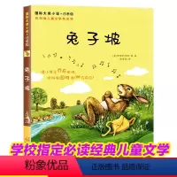 [正版]兔子坡注音版国际大奖小说系列文学小学生课外阅读书籍6-9-12周岁故事书儿童荐三年级课外书一年级二年级读物四年级