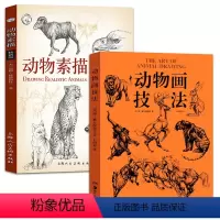 [正版]2册套装动物画技法+动物素描版[美] 庚·赫尔脱格伦 豆瓣9.4分世界热卖60年 动物画练习示