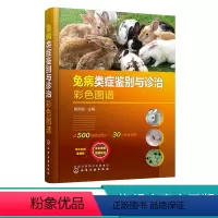 [正版]兔病类症鉴别与诊治彩色图谱 兔病防治及类似疾病鉴别综合工具书 兔子常见传染病鉴别书籍 兽医服务书籍 养兔专业工具
