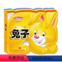 我的小小动物世界:兔子 [正版]我的小小动物世界全套:小小恐龙 注音版安东尼著天地出版社低幼启蒙3-6-8岁宝宝启蒙认知