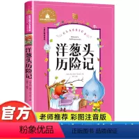 洋葱头历险记 [正版]一年级二年级课外书必读老师带拼音儿童故事书兔子坡捣蛋鬼日记洋葱头历险记柳林风声6-8-10岁小学生