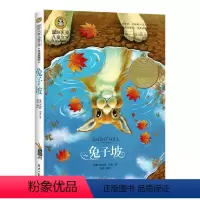 兔子坡 [正版]国际大奖儿童文学小说全套35册 中国儿童文学小学生课外阅读书籍3-6年级三四五六年级课外书必读青鸟书 父