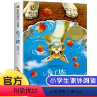 兔子坡 [正版]国际大奖小说6册 柳林风声 草原上的小木屋假话国历险记青鸟兔子坡细菌世界三四五六年级必读课外书老师全套儿