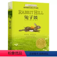 兔子坡 [正版]五年级必读课外书全套五年级的烦恼十二岁的旅程适合小学生5升六年级阅读书籍长青藤国际大奖纽伯瑞儿童文学小说