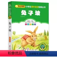 兔子坡 [正版]小马过河注音版故事书绘本一年级二年级三年级