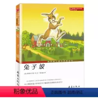 [升级版]兔子坡 [正版]国际大奖小说傻狗温迪克+桥下一家人+五毛钱愿望+外公是樱桃树+魔法箱+塔克郊外+屋顶小孩+女水