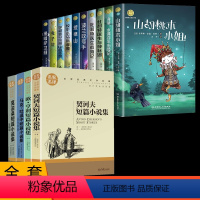 [14册]纽伯瑞儿童文学奖+世界经典文学名著 [正版]纽伯瑞国际儿童文学金奖小说全套10册彩图兔子坡一二三四五六年级上下