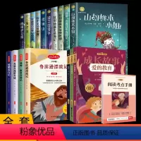 [17册]纽伯瑞儿童文学奖+六年级推荐 [正版]纽伯瑞国际儿童文学金奖小说全套10册彩图兔子坡一二三四五六年级上下册阅读
