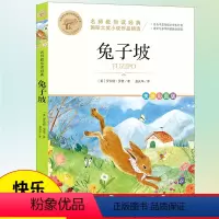 兔子坡 [正版]兔子坡三年级四五六年级必读的课外书 国际大奖小说名师教你读经典全集彩图美绘版儿童读物小学生课外阅读书籍畅