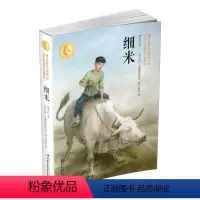 [正版]世界插画家插图版 细米
