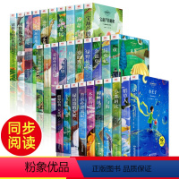 1-2年级阅读课外书30册(套装一+套装二+套装三) [正版]同步音频 一年级二年级阅读课外书必读 小学生阅读课外书籍老