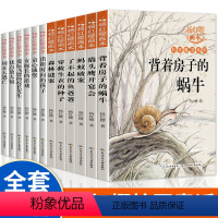 杨红樱画本 全12册 [正版]杨红樱系列全6册科学童话故事画本 小学生三四五六年级课外阅读书籍老师经典书目儿童校园小说背