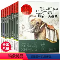 [全套8册]沈石溪动物小说全集 [正版]沈石溪动物小说全集8册 珍藏版套装画本大全系列后一头战象儿童小学生三四五六年级课