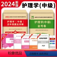 [正版]主管护师2024年中级主管护师历年真题押题密卷模拟卷护理学中级人卫版金考卷冲刺跑试卷易哈佛考试电子题库口袋书丁