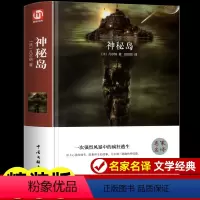 [精装版]神秘岛. [正版]神秘岛儒勒凡尔纳原著科幻小说全集海洋三部曲小学生初中三四五年级课外阅读书籍人民文学外国世界名