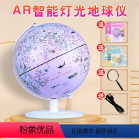 [20cm充电+AR]地球仪公主款 [正版]地球仪初中生用小学生公主款王子款儿童礼物启蒙大号小号新款标准教学版书桌装饰摆