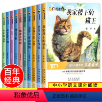 百年经典儿童文学[全10册] [正版]百年经典儿童文学冰心奖全套名家名作系列 我家楼下的猫王魔法学校小学生课外书阅读书籍