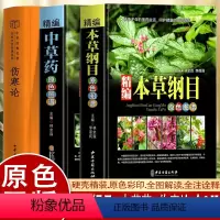 [正版]3册本草纲目精装中草药图谱本草纲目原版全套李时珍中草药彩图中医基础理论大全神农本草经李时珍全集中医养生书籍全书