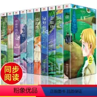 [正版]一年级二年级阅读课外书阅读 配套阅读 小学生阅读课外阅读书籍带拼音注音版 儿童童话故事书大全 1年级2年级名著