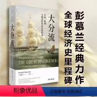 [正版]大分流 中国、欧洲与现代世界经济的形成 全新译本 彭慕兰著 贸易打造世界 探索现代世界经济和世界体系的起源