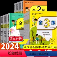 [3本]语文+数学+英语 一年级下 [正版]2024春新版金3练金三练一年级下册二三四五六年级小学语文数学英语全套人教版
