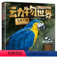 鸟类王国 [正版]勇敢孩子的动物世界 鸟类王国AR互动 儿童科普绘本幼儿园中大班启蒙自然百科全书 3-6-9岁动物认知益