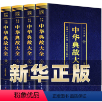 [正版]全4册 中华典故大全 烫金彩色详解 人文历史成语典故书籍 中华语言文化博大精深 青少年故事书 中华成语故事 拓