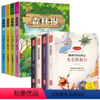 [全8册]森林报+4下快乐读书吧 [正版]彩图版森林报春夏秋冬全四册全集三四五六年级阅读课外书必读四年级下册比安基原著原