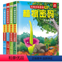 [全4册]万物百科密码系列:昆虫+植物 [正版]全4册 万物百科密码系列 昆虫植物密码趣味翻翻书 小学生科普百科绘本3