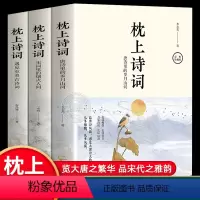 [正版]枕上诗词系列全套3册 枕上诗词唐诗里的岁月山河+宋词里的烟火人间+遇见至美古诗词枕上诗书一诗一词一故事诗词歌赋
