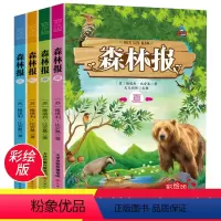 全套4册 [正版]森林报春夏秋冬全四册比安基四年级必读课外书三五六年级小学生课外阅读书籍儿童读物班主任青少年百科类书籍