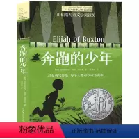 奔跑的少年 [正版]长青藤国际大奖小说书系第七辑-奔跑的少年 儿童文学故事书 童话故事书 亲子读物书籍 7-9-12岁三