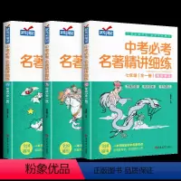 [全3册]中考必考名著精讲细练 初中通用 [正版]中考必考名著精讲细练初中名著导读七八九年级全套考点精练一点通语文中考名