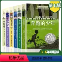 长青藤国际大奖小说[第7辑] [正版] 奔跑的少年 长青藤国际大奖小说书系 9-10-12-15岁小学生课外阅读书籍三四