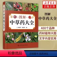 [正版]图解中草药大全 中医入门中草药大全书籍药材植物彩图中药大全 中医养生保健大全中草药识别百科全书 本草纲目中草药
