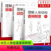 [正版]理解人体结构 绘画基础+动态训练+透视原理 三册套装 动漫人体结构动态人物绘画漫画基础教程 新手入门书籍 凤凰