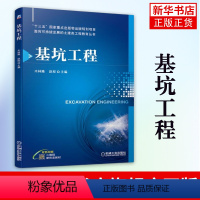 [正版]基坑工程木林隆 面向可持续发展的土建类工程教育丛书 QFW的基坑工程设计和施工的知识体系凤凰书店