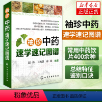 [正版]袖珍中药速学速记图谱 常用中药饮片400余种 总结特征鉴别口诀 常见中药饮片 中药饮片鉴别知识大全 中医学入门