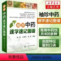[正版]袖珍中药速学速记图谱 常用中药饮片400余种 总结特征鉴别口诀 常见中药饮片 中药饮片鉴别知识大全 中医学入门