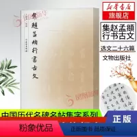 [正版]集赵孟頫行书古文 于魁荣编赵孟俯行书毛笔字帖简体释文成人毛笔软笔书法临摹字帖行书集字古诗古文字帖凤凰书店书
