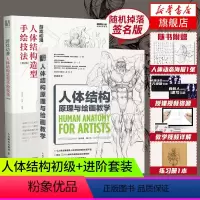 [正版]人体结构原理与绘画教学+游戏动漫人体结构造型手绘技法 画画的春哥伯里曼人物漫画教程书绘画入门自学临摹插画教程