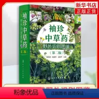 [正版]袖珍中草药野外识别图鉴 第二版 药用植物鉴别中国植物志 中华本草 中医药医师研究人员学生中草药爱好者参考工具书