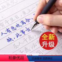 [正版]正楷字帖练字成年凹槽练字帖成人楷书入门钢笔练字练习高中硬笔书法练字本男女生字体漂亮初中生楷体速成初学者反复使用