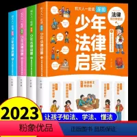 [正版]抖音同款漫画少年法律启蒙全4册 儿童版民法典入门书籍非2023年 给孩子的第一本法律启蒙书 适合小学生儿童看的