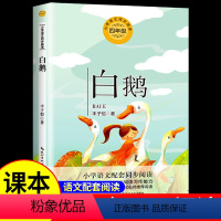 白鹅 [正版]白鹅 丰子恺散文集精选读本 四年级下册必读的课外书书目适合小学生阅读课外书籍小学语文课文同步拓展阅读儿童文