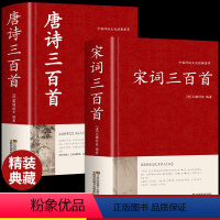 [正版]全套2册 宋词三百首完整古诗大全集书全中国古诗词大会书籍全套小学生唐诗宋诗300首初中版鉴赏辞典启蒙诗集诗歌古