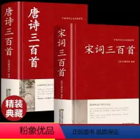 [正版]全套2册 宋词三百首完整古诗大全集书全中国古诗词大会书籍全套小学生唐诗宋诗300首初中版鉴赏辞典启蒙诗集诗歌古